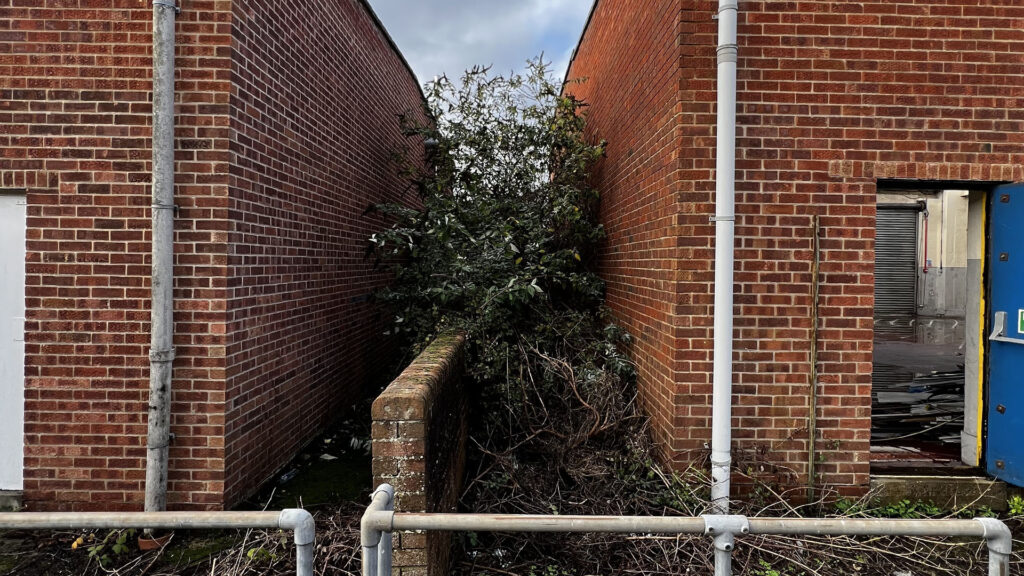What Happens If You Ignore Party Wall Etiquette Chippenham
